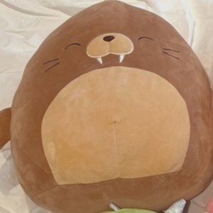 Bruce Squishmallow 12" BNWT